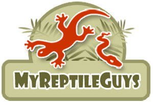My Reptile Guys