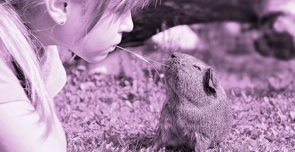 A child playing with an adorable hamster at a petting zoo